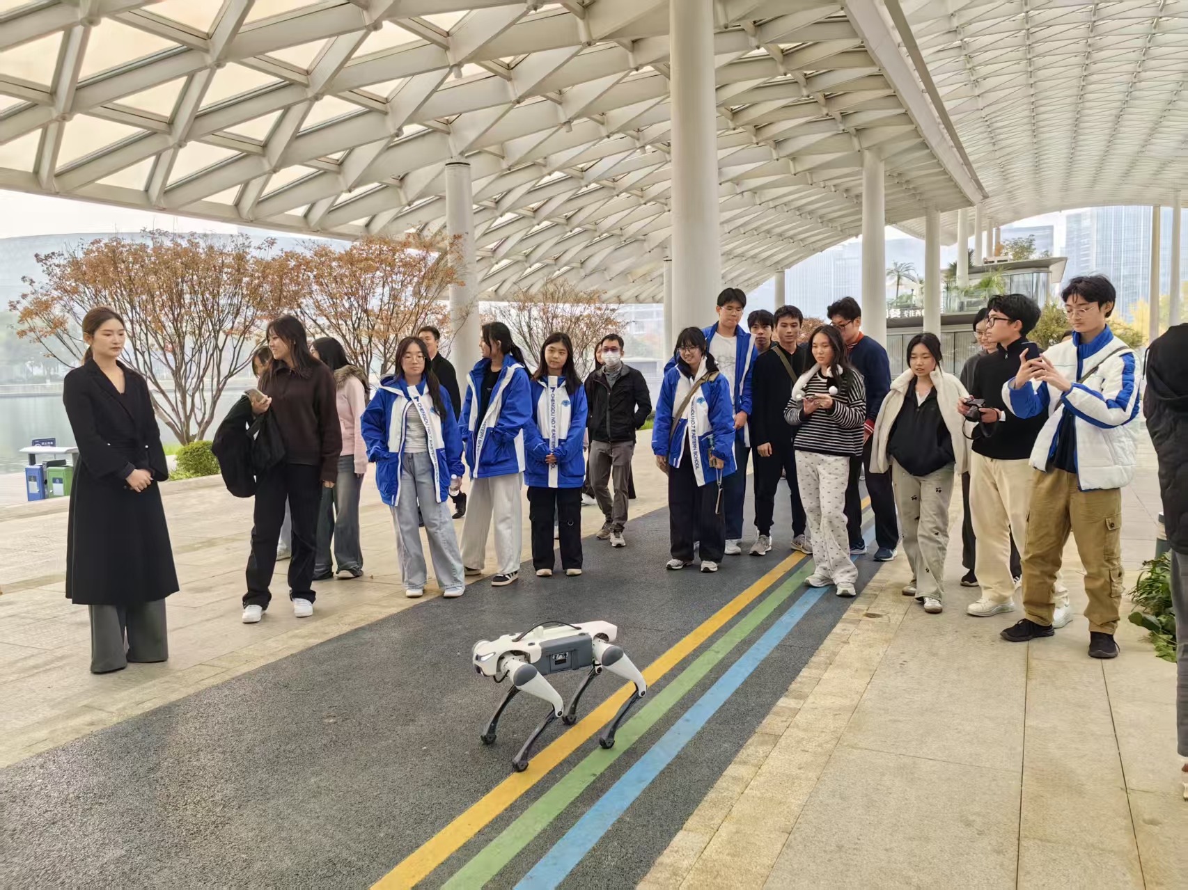 1765262950454686.jpg 1 (4).jpg